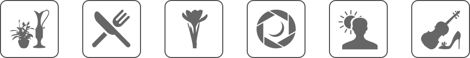 icons of scene mode